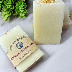 L'essentiel de calendula