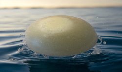 Savon mousse à barbe