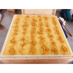 L'essentiel de calendula